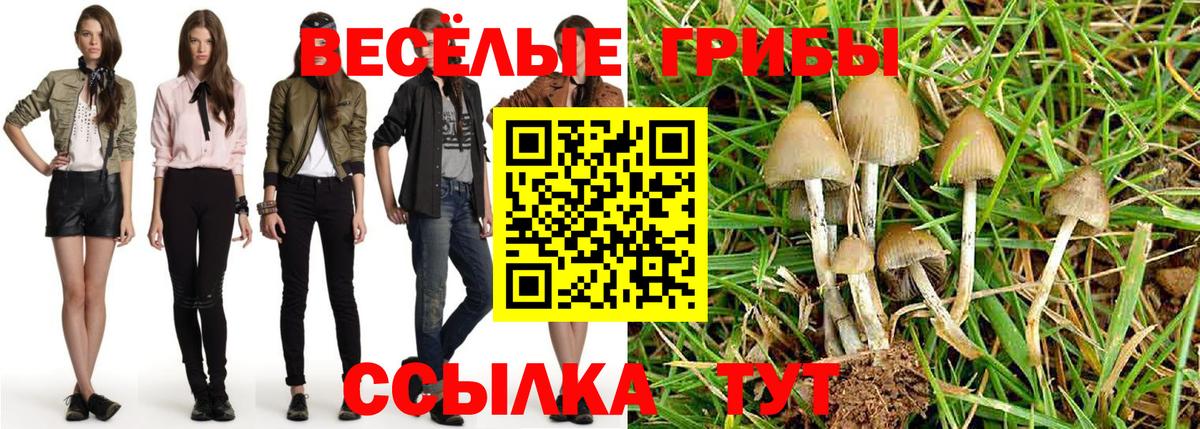 Янаул  Галлюциногенные грибы прущие грибы  Вход с VPN 